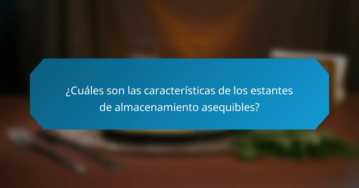 ¿Cuáles son las características de los estantes de almacenamiento asequibles?