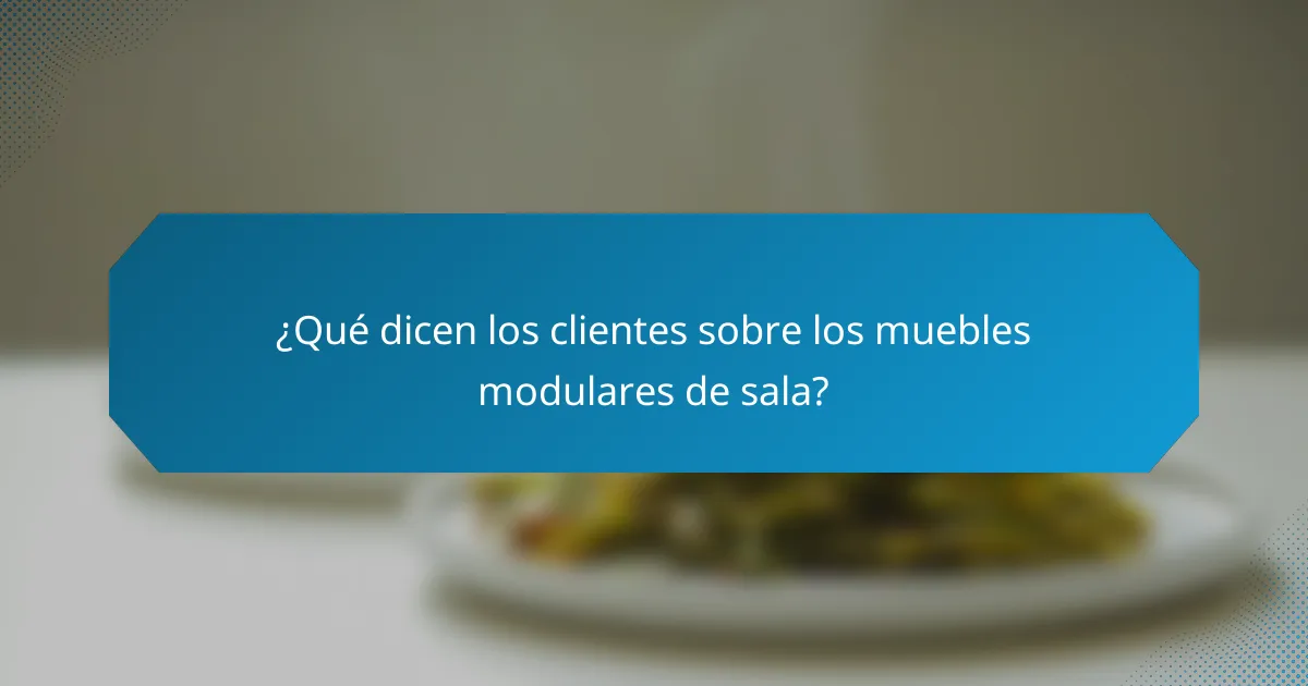 ¿Qué dicen los clientes sobre los muebles modulares de sala?