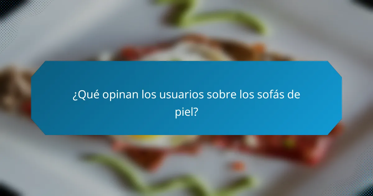 ¿Qué opinan los usuarios sobre los sofás de piel?