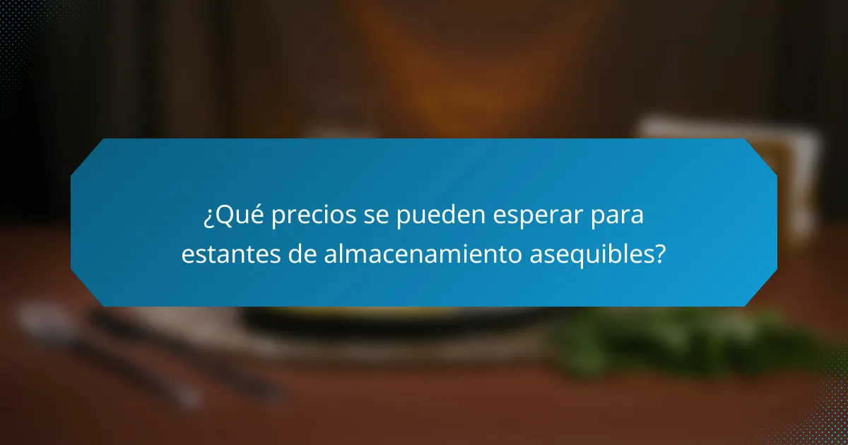 ¿Qué precios se pueden esperar para estantes de almacenamiento asequibles?